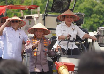 Polri Dorong Swasembada Pangan, Kapolri Pimpin Panen Raya Jagung di OKU Timur