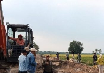 Terancam Dirumahkan, Ratusan Penyuluh Pertanian OKU Timur Menjerit di Tengah Regulasi ASN Baru