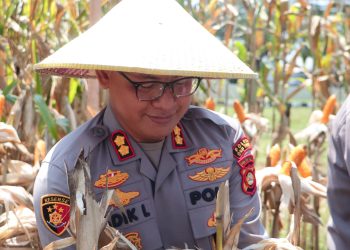 Ketahanan Pangan dan Pesan Moral Kapolres OKU Timur di Tengah Panen Jagung Belitang