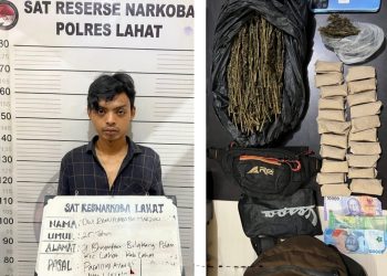 Satres Narkoba Polres Lahat Bekuk Pengedar Ganja, Barang Bukti Hampir Setengah Kilo!