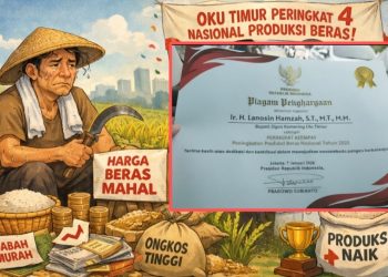 OKU Timur Peringkat Empat Produksi Beras Nasional, Beras di Pasar Tetap Mahal